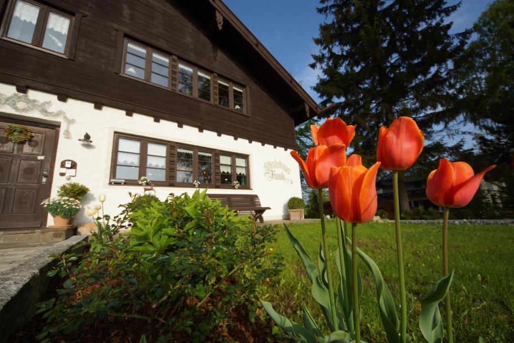 Gaestehaus Funk Bad Feilnbach Exterior foto