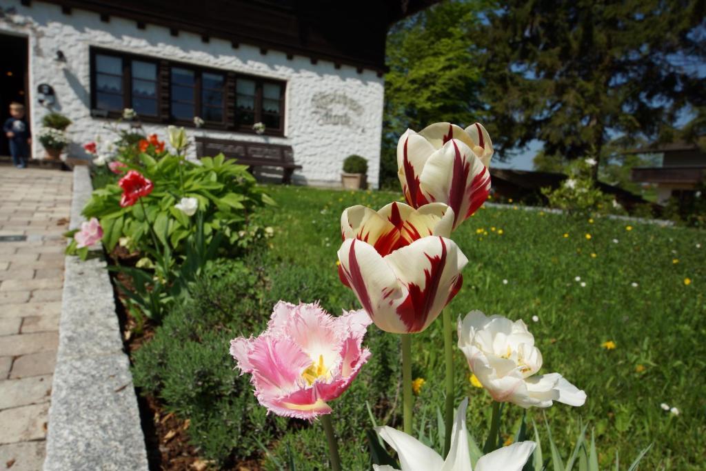 Gaestehaus Funk Bad Feilnbach Exterior foto